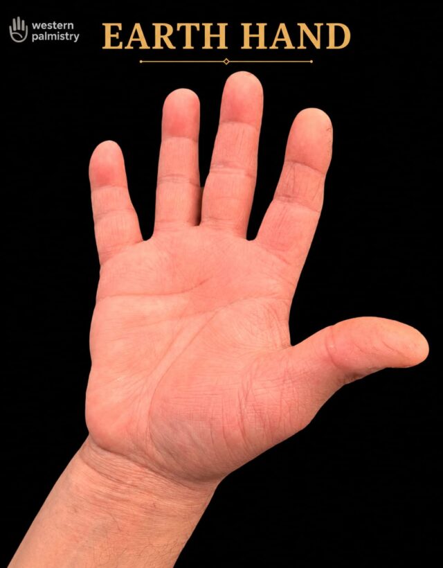 A high-quality clinical photograph of an Earth Hand, characterized by a square palm and short fingers, from Western Palmistry.