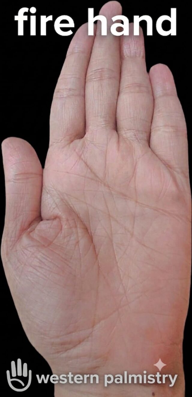A high-quality clinical photograph of an Fire Hand, characterized by a rectangular palm and short fingers, from Western Palmistry.