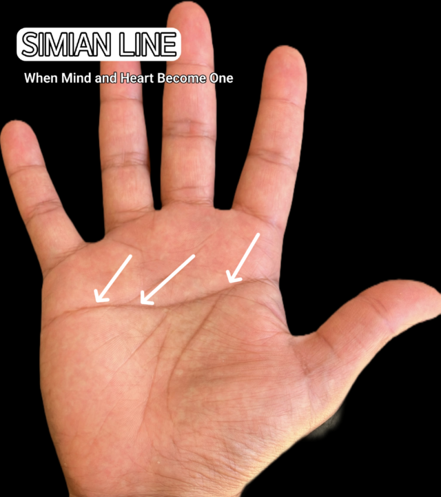 "Open hand showing a rare simian line crossing the full width of the palm"