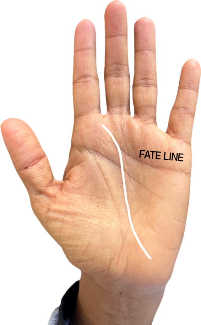 Fate line traced on a palm, running vertically up the center of the hand — fate line in western palmistry