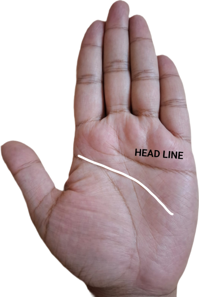 Head line traced on a palm, sloping across the middle of the hand — how to find your head line in palmistry