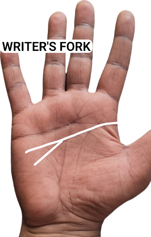 "Head line ending in a Y-shaped writer's fork, with one branch straight and one curving toward the base of the palm"