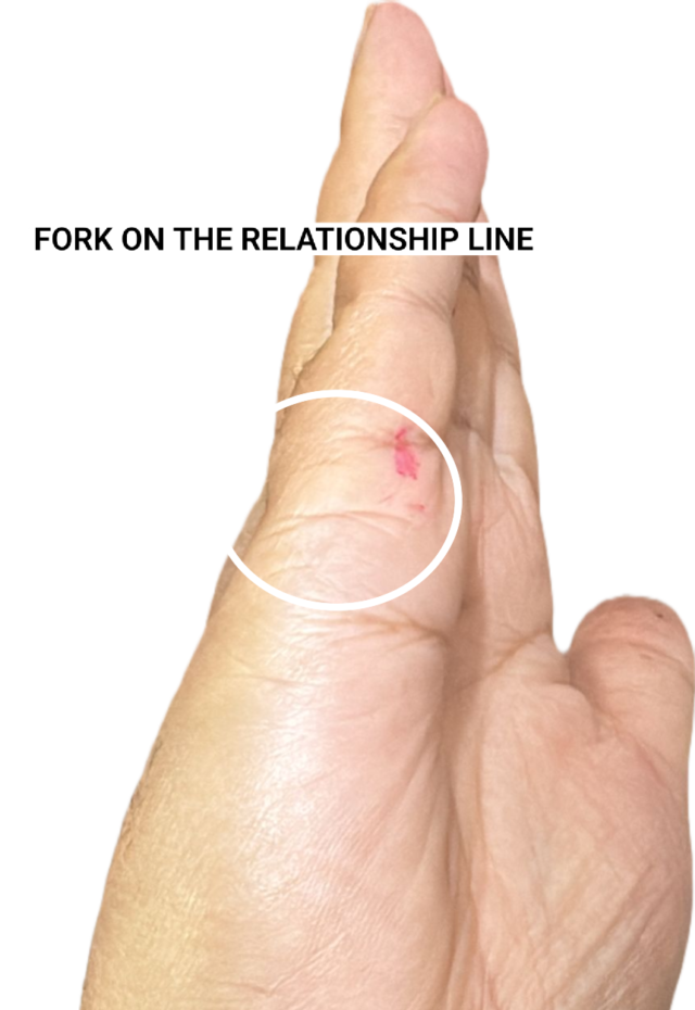 "Palmistry diagram showing the marriage lines — short horizontal lines below the little finger fork front and back of the line above the heart line on the edge of the palm"
