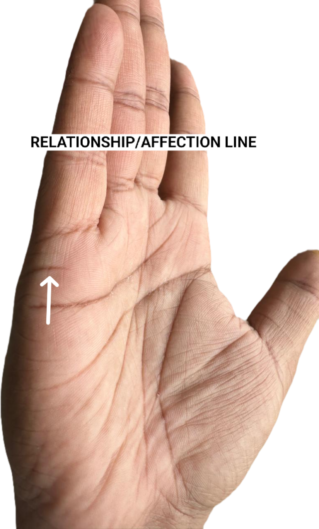"Palmistry diagram showing the marriage lines — short horizontal lines below the little finger above the heart line on the edge of the palm"