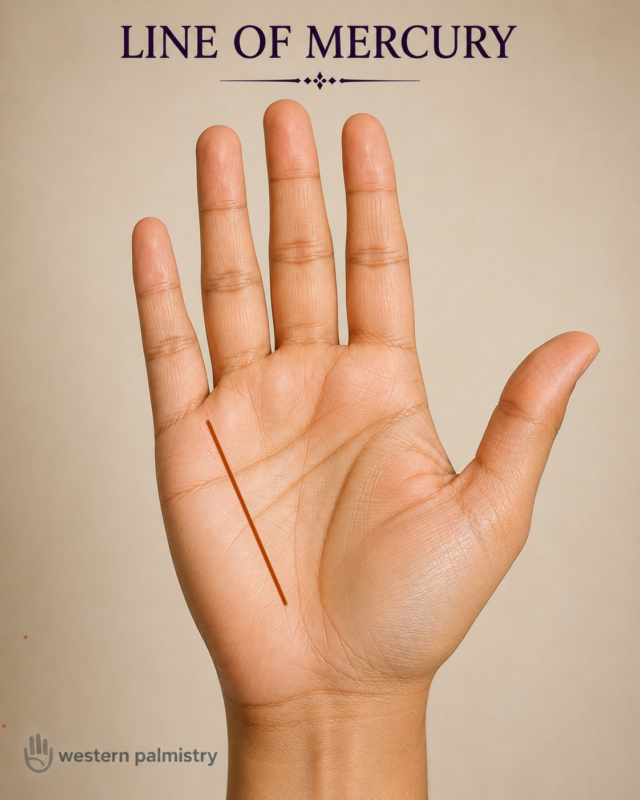 A realistic open palm displayed against a warm beige background, with the heading “LINE OF MERCURY” at the top and the Western Palmistry logo in the lower-left corner.