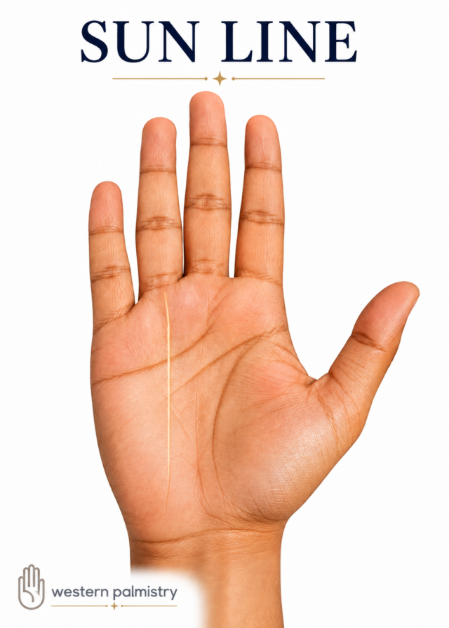 Open human palm on a white background with the Sun Line highlighted as a vertical golden line rising toward the ring finger. “SUN LINE” appears at the top, with the Western Palmistry logo at the bottom left.